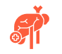 Hepatology - icon