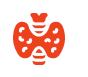 Endocrinology - icon