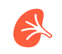 Cardiology - icon