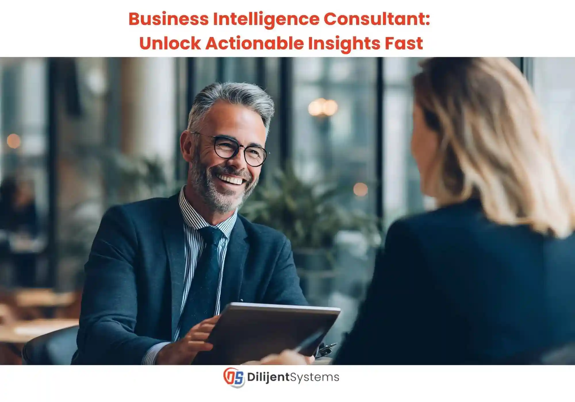 Business Intelligence Consultant