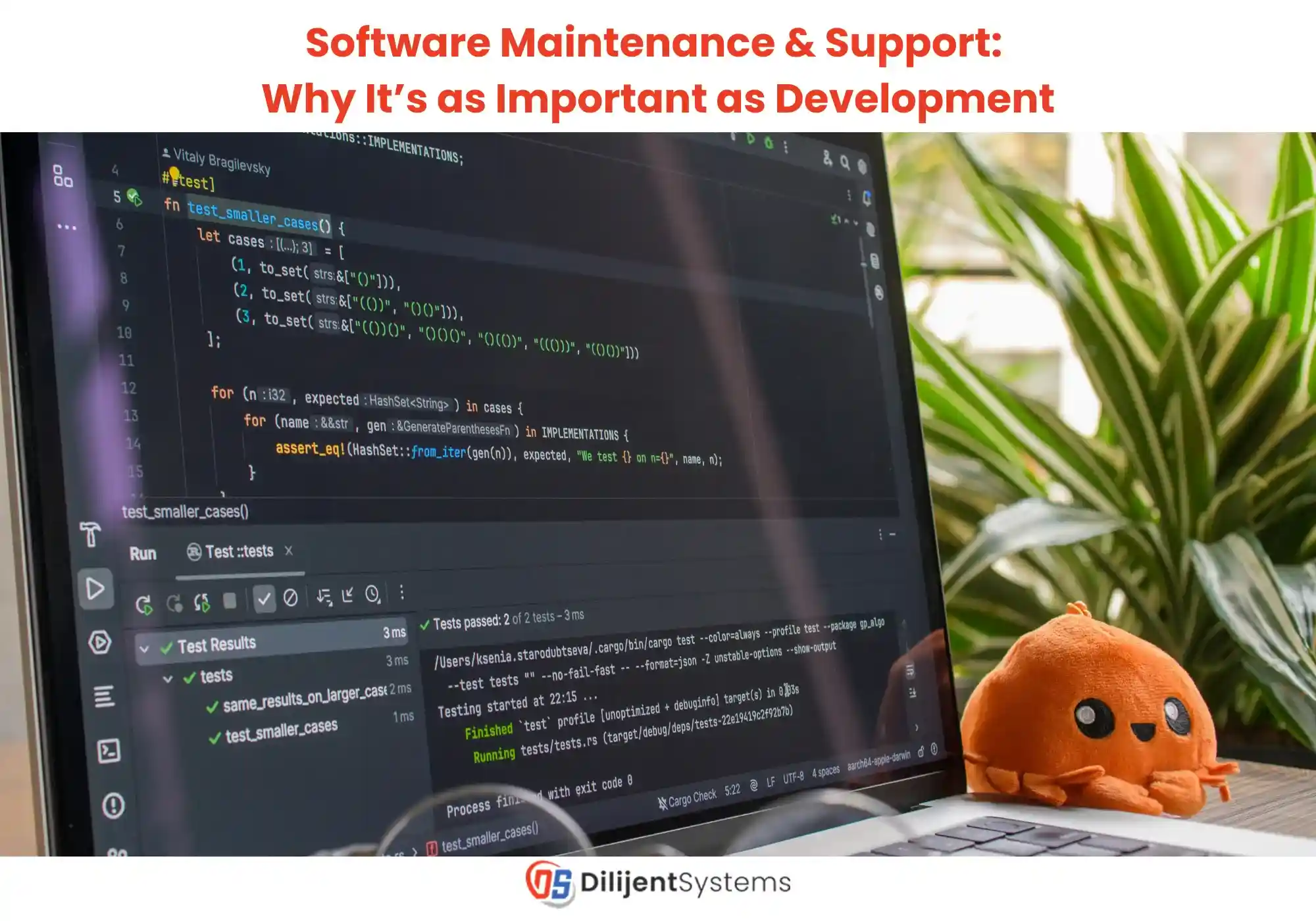 software maintenance and support services