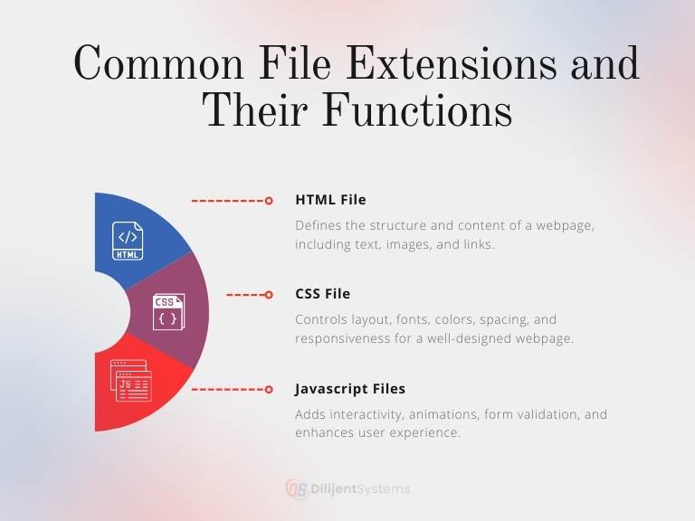 Common File Extensions and Their Functions